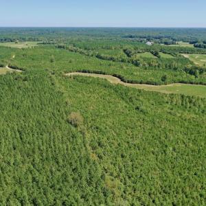 Photo #47 of SOLD property in Off Dennis Harris Rd, Macon, NC 138.1 acres