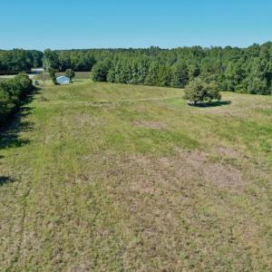 Photo #11 of Off Hwy 305, Rich Square, NC 30.1 acres