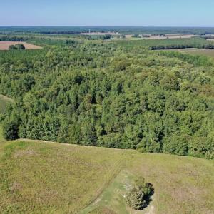 Photo #14 of Off Hwy 305, Rich Square, NC 30.1 acres
