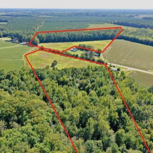Photo #15 of Off Hwy 305, Rich Square, NC 30.1 acres