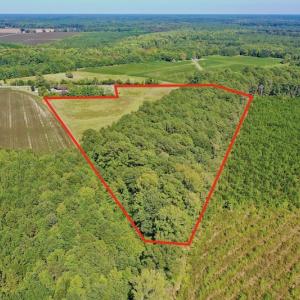 Photo #16 of Off Hwy 305, Rich Square, NC 30.1 acres
