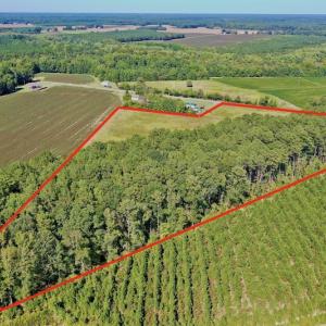 Photo #17 of Off Hwy 305, Rich Square, NC 30.1 acres