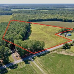 Photo #18 of Off Hwy 305, Rich Square, NC 30.1 acres