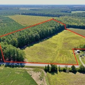 Photo #19 of Off Hwy 305, Rich Square, NC 30.1 acres