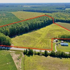 Photo #20 of Off Hwy 305, Rich Square, NC 30.1 acres