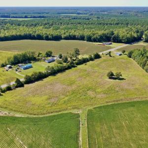 Photo #3 of Off Hwy 305, Rich Square, NC 30.1 acres
