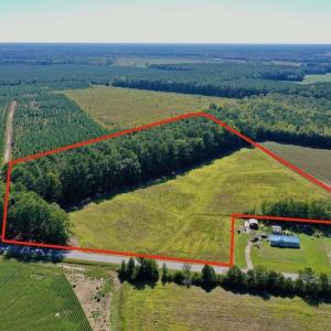 Photo #21 of Off Hwy 305, Rich Square, NC 30.1 acres