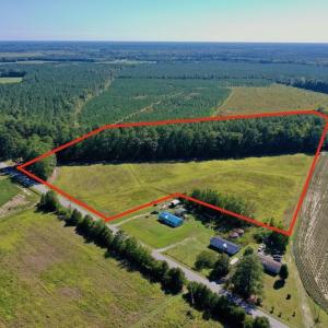Photo #22 of Off Hwy 305, Rich Square, NC 30.1 acres