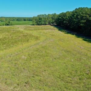 Photo #24 of Off Hwy 305, Rich Square, NC 30.1 acres