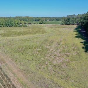 Photo #25 of Off Hwy 305, Rich Square, NC 30.1 acres