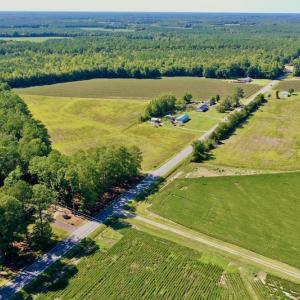 Photo #5 of Off Hwy 305, Rich Square, NC 30.1 acres