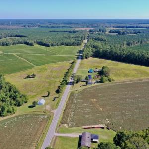 Photo #6 of Off Hwy 305, Rich Square, NC 30.1 acres