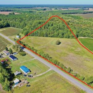 Photo #8 of Off Hwy 305, Rich Square, NC 30.1 acres