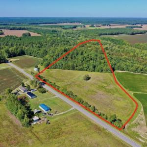 Photo #10 of Off Hwy 305, Rich Square, NC 30.1 acres