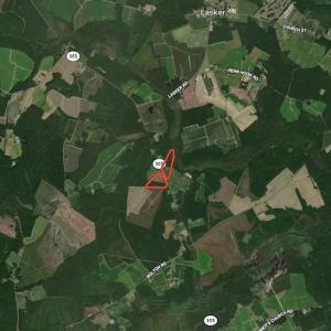 Photo #26 of Off Hwy 305, Rich Square, NC 30.1 acres