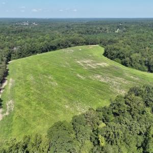 Photo #8 of Off Barber Mill Road, Clayton, NC 152.8 acres