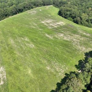 Photo #13 of Off Barber Mill Road, Clayton, NC 152.8 acres