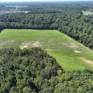 Photo #15 of Off Barber Mill Road, Clayton, NC 152.8 acres