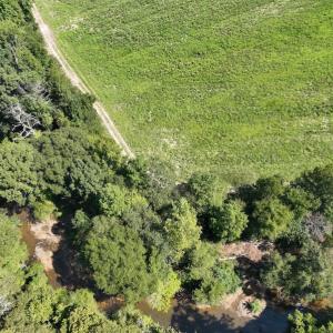 Photo #21 of Off Barber Mill Road, Clayton, NC 152.8 acres