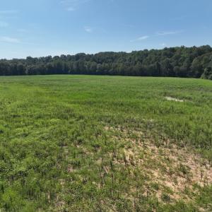 Photo #27 of Off Barber Mill Road, Clayton, NC 152.8 acres