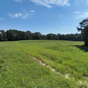 Photo #30 of Off Barber Mill Road, Clayton, NC 152.8 acres