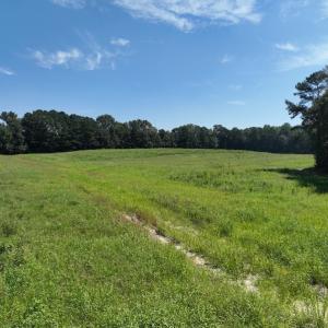 Photo #29 of Off Barber Mill Road, Clayton, NC 152.8 acres