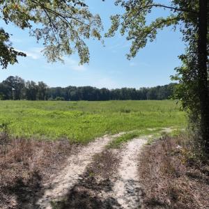 Photo #35 of Off Barber Mill Road, Clayton, NC 152.8 acres