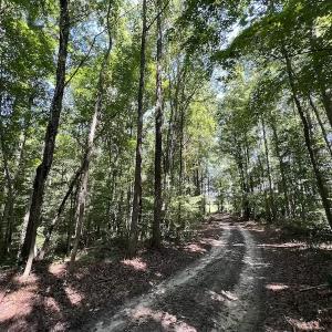 Photo #36 of Off Barber Mill Road, Clayton, NC 152.8 acres