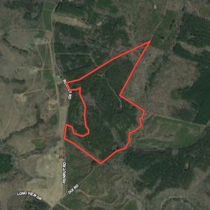Photo #1 of Off Renrut Rd , Lunenburg, VA 87.0 acres
