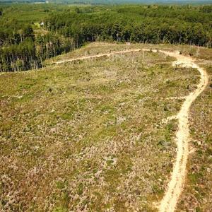 Photo #2 of SOLD property in Off Renrut Rd , Lunenburg, VA 87.0 acres