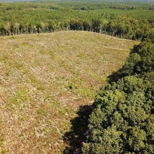 Photo #3 of SOLD property in Off Renrut Rd , Lunenburg, VA 87.0 acres