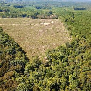 Photo #4 of SOLD property in Off Renrut Rd , Lunenburg, VA 87.0 acres
