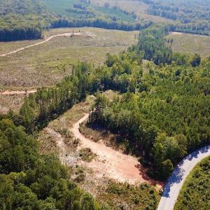 Photo #5 of SOLD property in Off Renrut Rd , Lunenburg, VA 87.0 acres