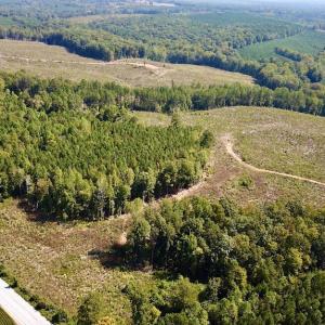 Photo #6 of SOLD property in Off Renrut Rd , Lunenburg, VA 87.0 acres