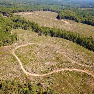 Photo #7 of SOLD property in Off Renrut Rd , Lunenburg, VA 87.0 acres