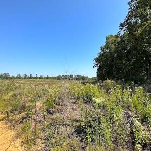 Photo #13 of SOLD property in Off Renrut Rd , Lunenburg, VA 87.0 acres