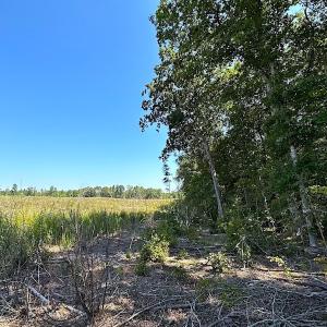 Photo #16 of SOLD property in Off Renrut Rd , Lunenburg, VA 87.0 acres