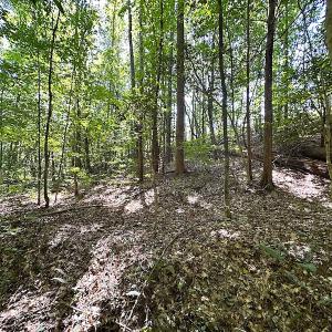 Photo #28 of SOLD property in Off Renrut Rd , Lunenburg, VA 87.0 acres