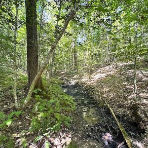 Photo #32 of SOLD property in Off Renrut Rd , Lunenburg, VA 87.0 acres
