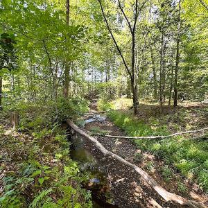 Photo #38 of SOLD property in Off Renrut Rd , Lunenburg, VA 87.0 acres