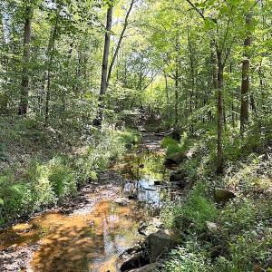 Photo #39 of SOLD property in Off Renrut Rd , Lunenburg, VA 87.0 acres