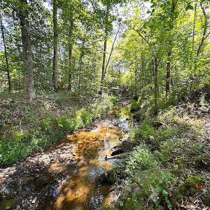Photo #40 of SOLD property in Off Renrut Rd , Lunenburg, VA 87.0 acres