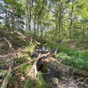 Photo #41 of SOLD property in Off Renrut Rd , Lunenburg, VA 87.0 acres
