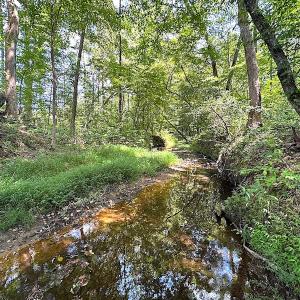 Photo #43 of SOLD property in Off Renrut Rd , Lunenburg, VA 87.0 acres