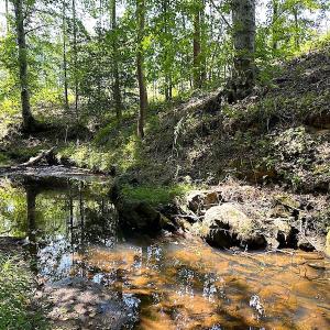 Photo #44 of SOLD property in Off Renrut Rd , Lunenburg, VA 87.0 acres