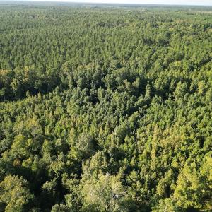 Photo #11 of SOLD property in Off Figure 9 Rd, Council, NC 6.5 acres