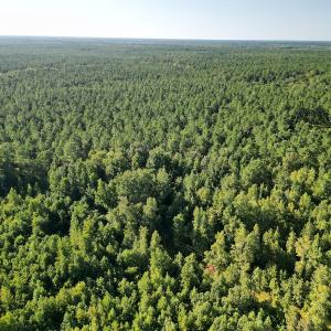 Photo #12 of SOLD property in Off Figure 9 Rd, Council, NC 6.5 acres