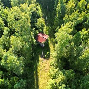 Photo #13 of SOLD property in Off Figure 9 Rd, Council, NC 6.5 acres