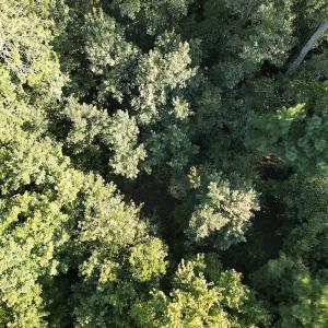 Photo #16 of Off Figure 9 Rd, Council, NC 6.5 acres