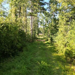 Photo #17 of SOLD property in Off Figure 9 Rd, Council, NC 6.5 acres